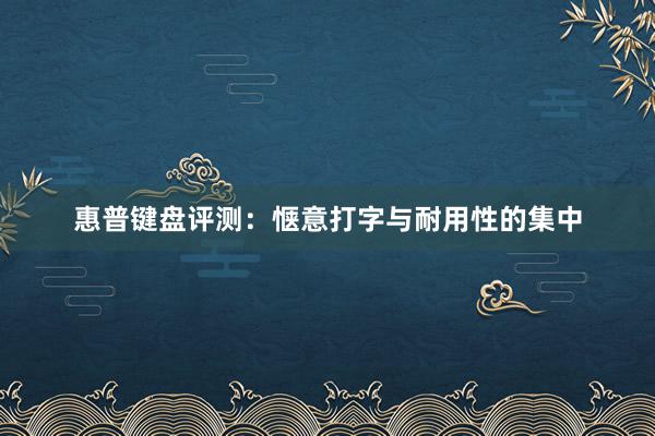 惠普键盘评测：惬意打字与耐用性的集中